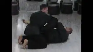 Kodenkan Danzan Ryu Jujitsu Seminar  Golden Power 2014 Rome Italy