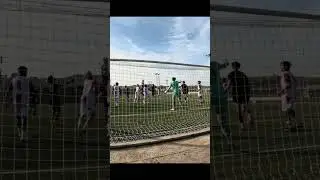 Highlights