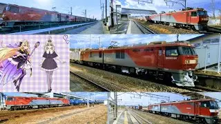 ２０２６年  １月中旬　貨物列車 ６本 　※  1⁄14  (水) ・ 1⁄15  (木)