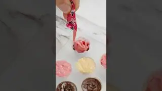Grow Your Own Candy!