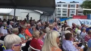 What Swedish National Day Looks Like to Chinese People