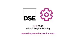 DSEE050 - eView&reg; Engine Display