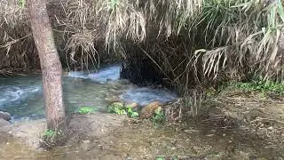 Banos de la Hedionda de Cesares -Espacio Natural