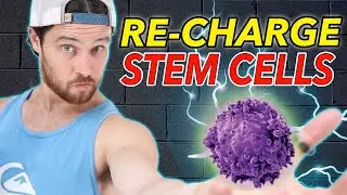 How Intermittent Fasting / Prolonged Fasting Can Regenerate STEM CELLS