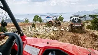 Buggy safari