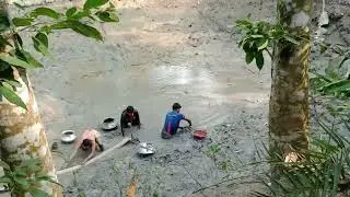 পুকুরের মাছ