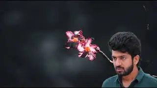 Pandian Stores Serial Tomorrow Review | ஆதாரத்துடன் வசமாக சிக்காய பாக்கியம்