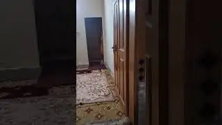 2.75 marla house 4 sale in gulbahar 3 sir sayed chwok ( part 1 ) #gulbahar #home #peshawarproperty