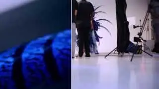 BLISS Carnival 2014 Presentation Teaser
