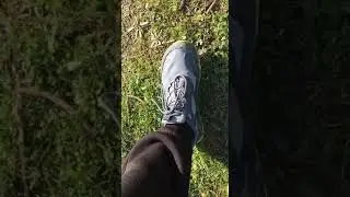 Altra Lone Peak 6 All-WTHR за 60 секунд. Микро-обзор от беганутого