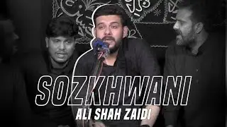 #shabbedari Alishah Zaidi Sozkhwani | Muzaffarnagar Azadari | #MehdiChannel