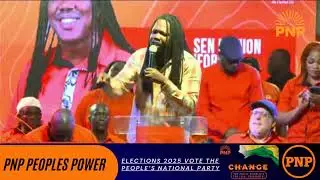 Damion Crawford PNP St  Catherine Parish Meeting