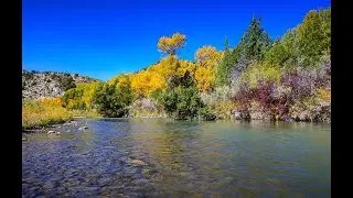Fly Fishing in Montana - Ruby River (Awesome Dry Fly Catch)