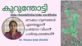 കുറുന്തോട്ടിയുടെ ഔഷധ ഗുണങ്ങൾ|HEALTH BENEFITS OF KURUNTHOTTI