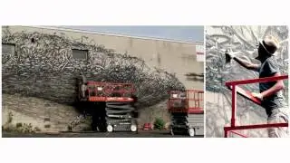 DALeast, Discount Evolution