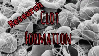 Prolonged Field Care Podcast 192: Clot Formation Research