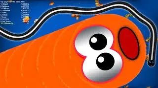worms zone biggest snake world record