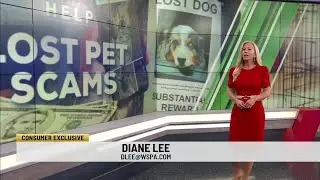 Lost Pet Scams on the Rise: How Scammers Are Preying on Desperate Pet Owners