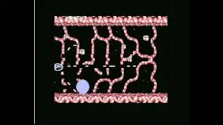 Playing Salamander on original C64 Hardware 沙羅曼蛇