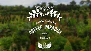 Drone Places - Quindio, Colombia - Coffee Paradise