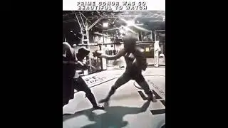 Prime Conor sparring footage🎥🔥 #ufc #notorius #conormcgregor #training #prime #sparring #champion