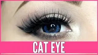 Cat Eye Makeup Like a PRO in Minutes | Beth Bender Beauty