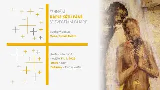 Žehn&aacute;n&iacute; kaple Křtu P&aacute;ně se svěcen&iacute;m olt&aacute;ře v Dobřanech | Koinonia Jan Křtitel