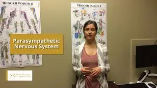 Golden CO Chiropractor - Relieve Stress Now using Massage Therapy