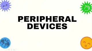 Peripheral Device Of A Computer