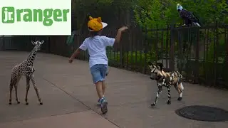 Houston Zoo Adventures with Keimyn