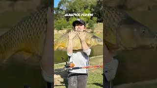 Molinete Pelicano da Albatroz Fishing #pescariaesportiva #fishing #albatrozfishing #albfsh