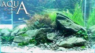 Aquascaping Lab - Tutorial 