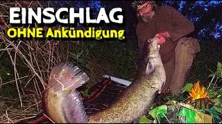 WELSANGELN leicht gemacht: suchen - finden - fangen