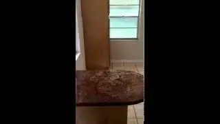 6812 N  Glen Ave., Tampa, FL 33604
