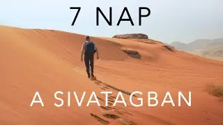 7 napig éltem a sivatagban a beduinok között.