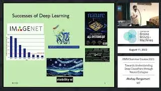 Towards Understanding Deep Classifiers through Neural Collapse