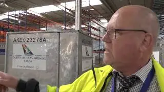 Hinter den Kulissen von SAA - Folge 7: Luftfracht