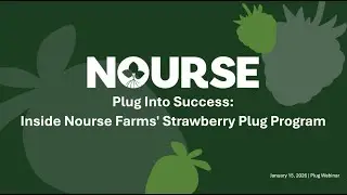 Lunch and Learn Webinar: Plug Into Success, Inside Nourse Farms' Strawberry Plug Program