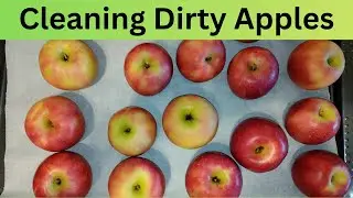 Candy Apple Prep: Cleaning Apples the Right Way
