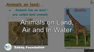 Animals on Land, Air and In Water, General Science Lecture | Sabaq.pk