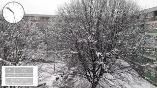 Snow Melting On Trees Timelapse Sheffield 2nd Feb 2021