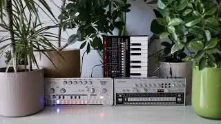 Snot Monkey - Acid 090 (Roland TR-06, JU-06A, Cyclone Analogic TT-303)
