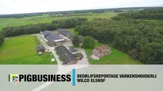 Impressie varkenshouderij Wilco Elshof