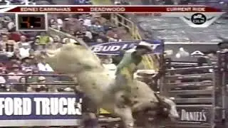 Holy Moly bucks Ednei Caminhas - 05 PBR St. Louis