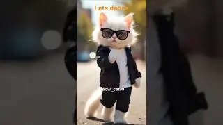 #catdance#catdanceshorts#catdanceshortvideos#catdanceviral#funnycatdance#funnyanimaldance#