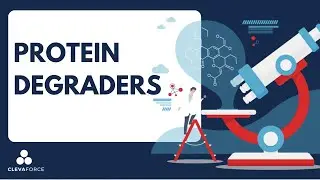 Protein Degraders