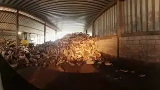 Kaminholz Produktion
