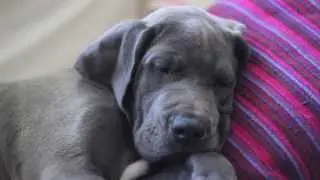 Folke, Two Months
