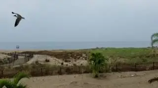 Ocean city Beach sound may 2016