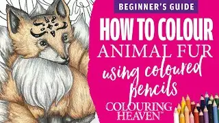 BEGINNER'S GUIDE: How to Colour Realistic Animal Fur | Fantasy Creatures Colouring Tutorial